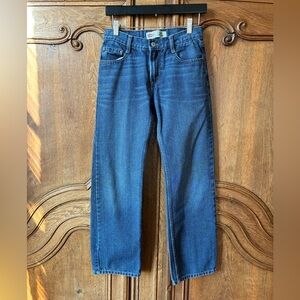 Levi's Men's Straight Blue Jeans